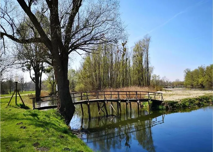 With Pool Near Sea Vikendica
